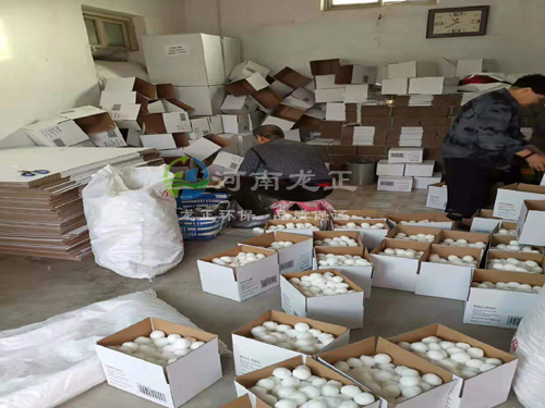 �w�S��?y��n)V�ϳ��ڼ�����b